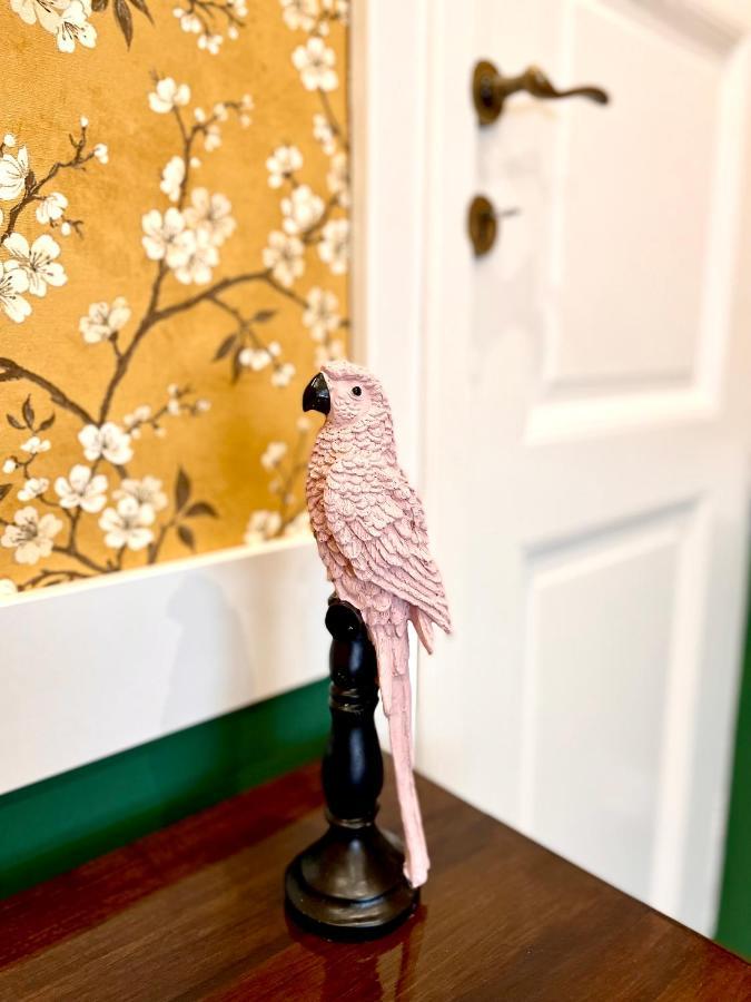 Ráday 4 Apartmanok - Zendaya Hajdúszoboszló Esterno foto